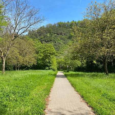 Ferienwohnung An Der Saar Konz Exteriör bild